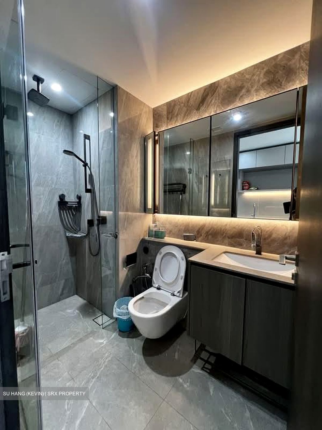 Piccadilly Grand (D8), Apartment #583368611